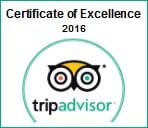 TripAdvisor